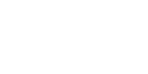 Logo30 Brave Thinking Institute Hover